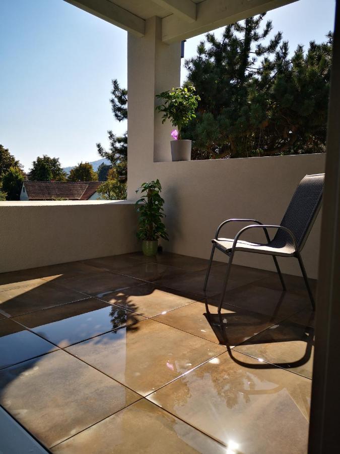 Spacy Apartment Next To The Center Of Graz With Terrasse Exterior foto